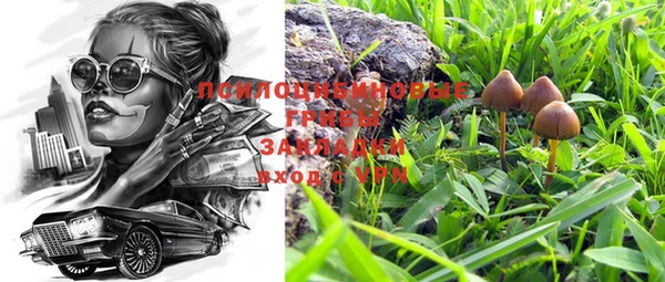 ГАЛЛЮЦИНОГЕННЫЕ ГРИБЫ Заволжск