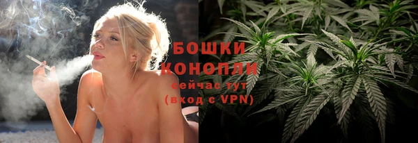 ГАЛЛЮЦИНОГЕННЫЕ ГРИБЫ Заволжск